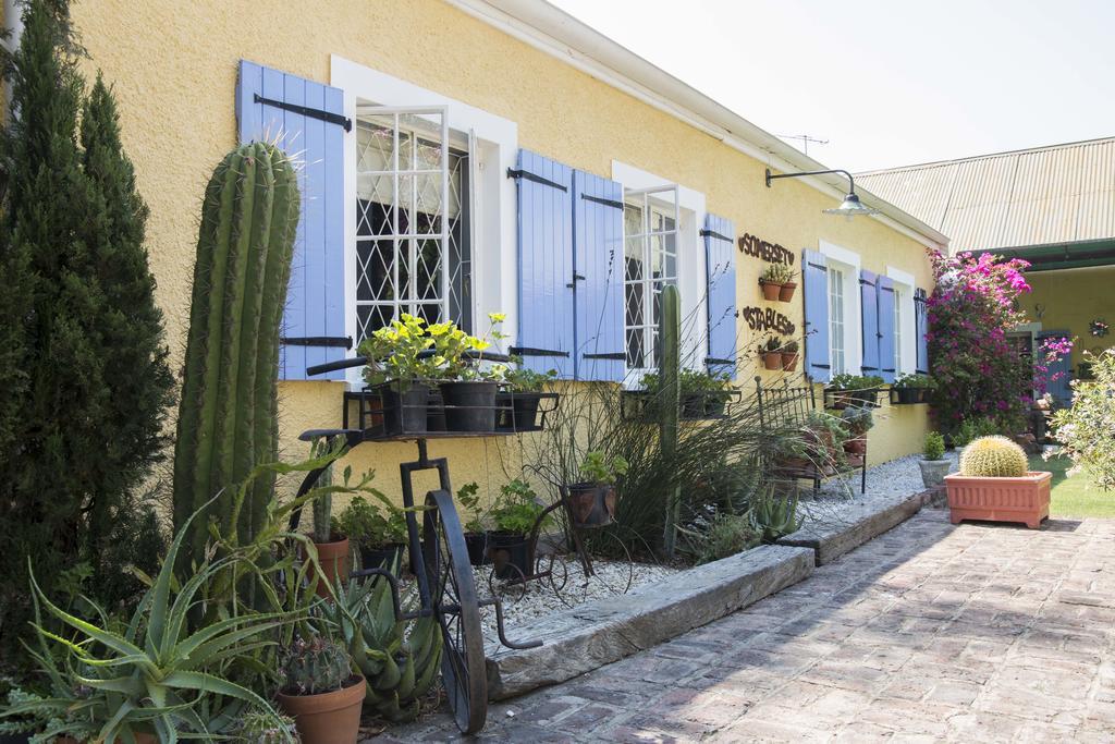 Somerset Stables Graaff Reinet Bagian luar foto