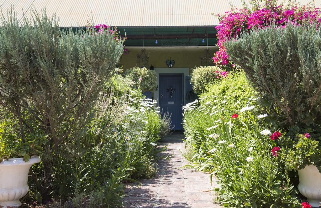 Somerset Stables Graaff Reinet Bagian luar foto