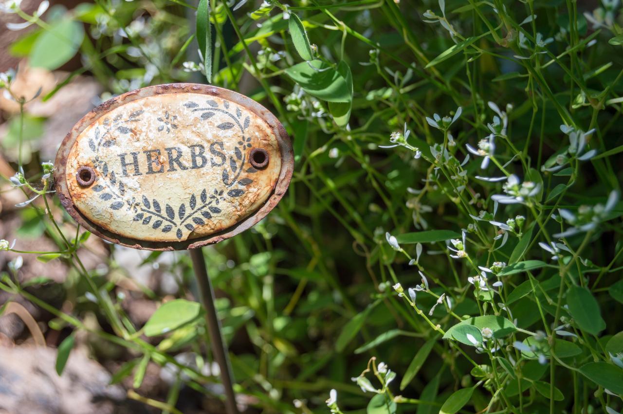 Somerset Stables Graaff Reinet Bagian luar foto