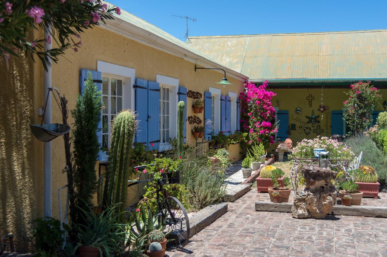 Somerset Stables Graaff Reinet Bagian luar foto