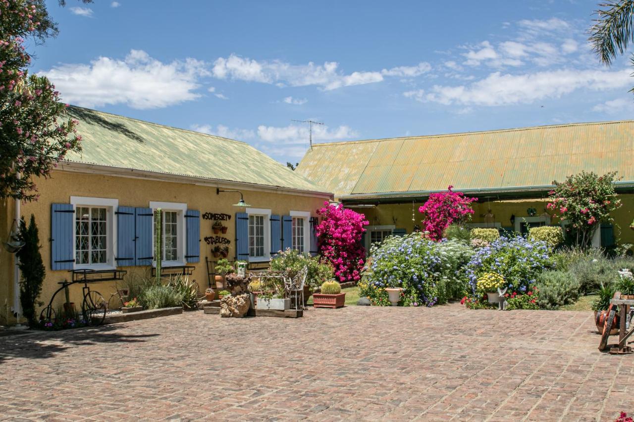 Somerset Stables Graaff Reinet Bagian luar foto